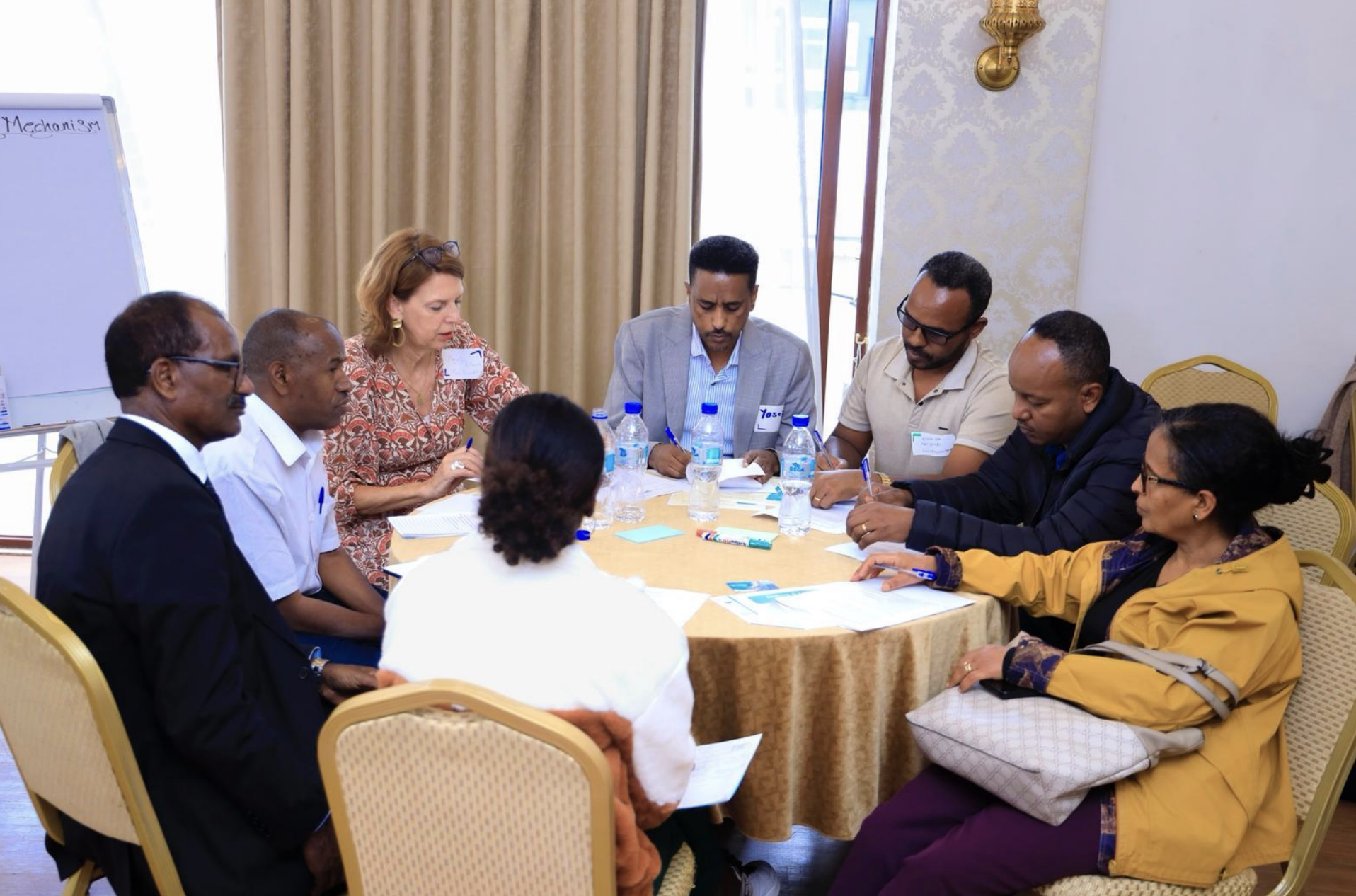 A large group workshop session during the Healthy Village Programme scale-up planning