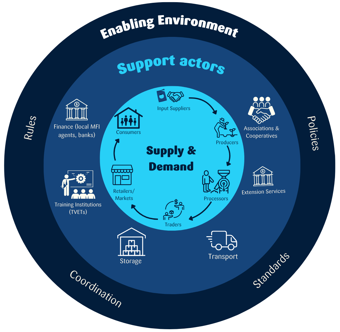 Market system diagram showing entrepreneurs at the centre, surrounded by support actors and the wider enabling environment